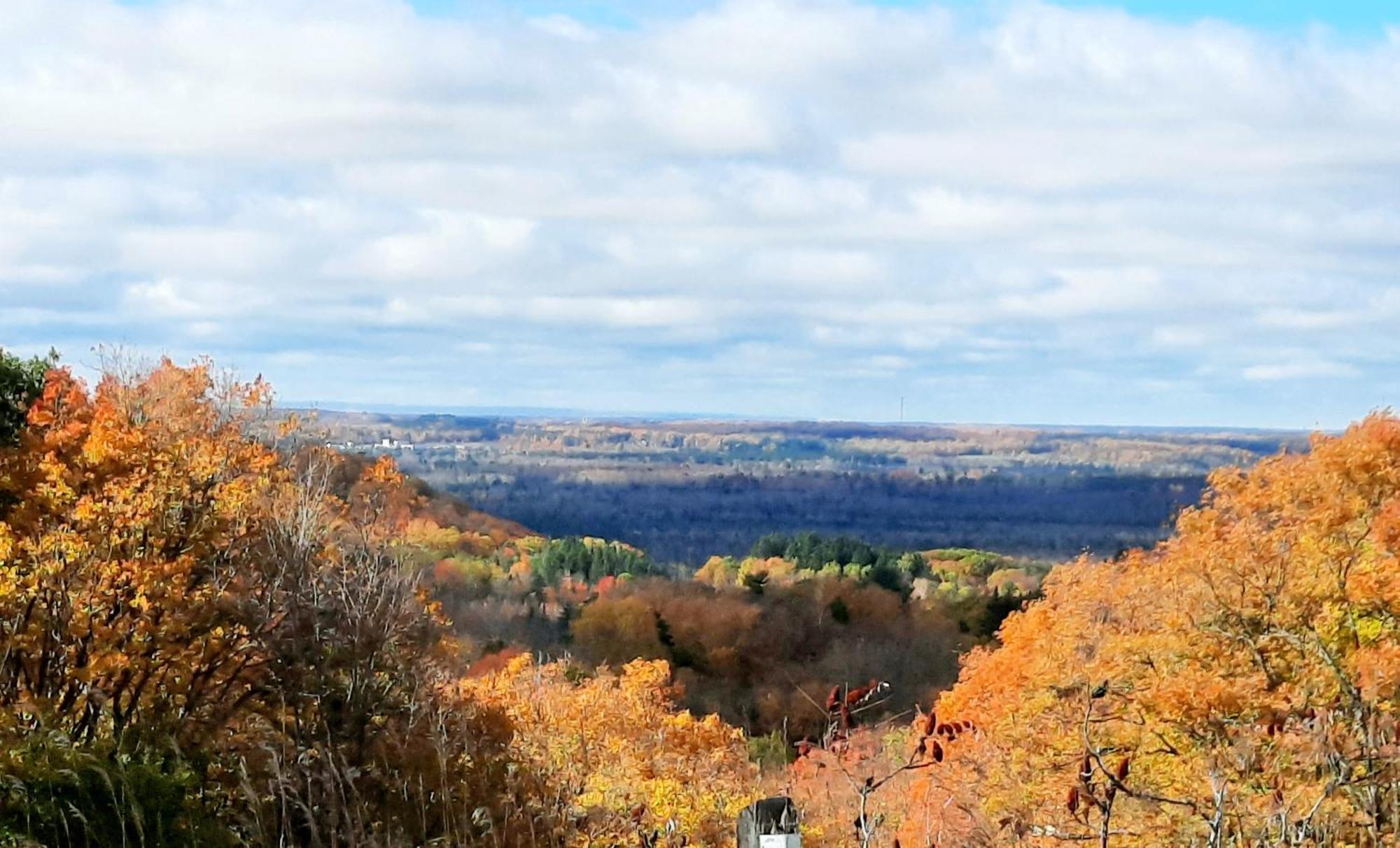 Oro-Medonte Margarita Vacation Getaway 아파트 외부 사진